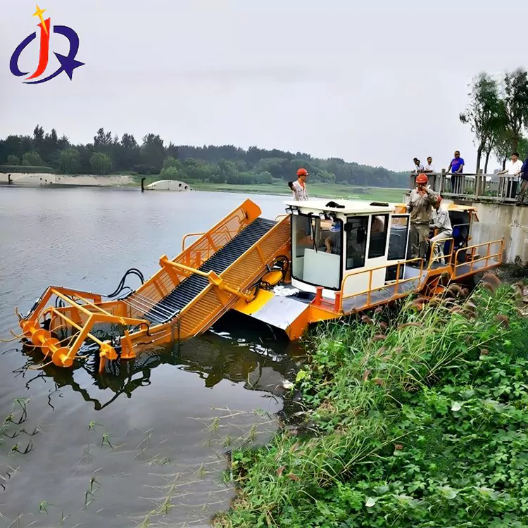 Гиацинт пен үйрек арасын кесетін қайық